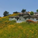 드라마촬영장 이미지