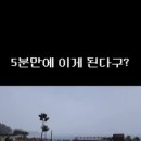 코디투어