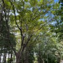 일산제일산부인과의원 이미지