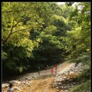 강천산군립공원 이미지