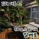 웰빙 | 김해 대동면 식물원 카페 알베로, 와송 아로니아 웰빙주스 후기