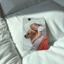 아이라이크핏 | 가성비 토퍼 매트리스, 마이라이크 침대 토퍼 실사용 후기