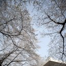 충남역사박물관 이미지