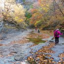 산성골 - 강북구 덕릉로 126 | 산성골