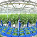 중평농장 이미지