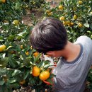 동선농장 이미지