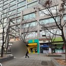 크로바 | 목동카페만족크로바후기