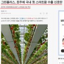 피시플러스 네이버블로그