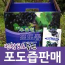 번창농원 네이버블로그