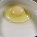 양계장농장 이미지