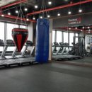 메이져 복싱짐 이미지