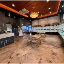 멋진강아지 이미지