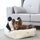 바오도그 이미지