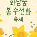 소마이스 이미지