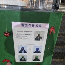 체육공원 가족휴게공원 | [과천 문원체육공원 야외 스케이트장] ❄️겨울 가기 전 필수 코스! 3년째 방문! 찐주민추천 주차꿀팁...