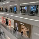 금강LF | lf몰 픽업 선물 포장 후기 (lf몰스토어 영등포)