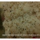 해초꼬마김밥