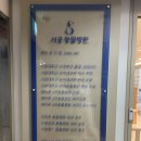 서공동물병원 | 분당 수내 서공동물병원 강아지 알러지 추천