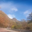 개별화물 네이버블로그