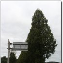 고흥군과역면노일보건진료소 | 남파랑길 고흥74구간