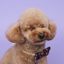 293사진관 이미지