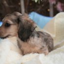 오픈주 하남스타필드점 이미지