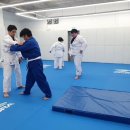 용인대 선샤인 유도 이미지