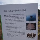 진섬(장도) Daum카페