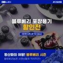 다담아몰