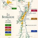 황금의 언덕 부르고뉴 와인 이미지