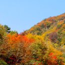 월영동198 이미지