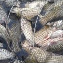 회암소류지 이미지