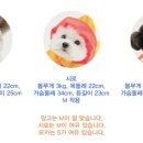 멍뭉(MUNGMOONG) 이미지