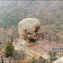 주작산 휴양림 네이버블로그