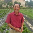 왕성농장 이미지