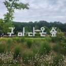 구미 다온숲화장실 이미지