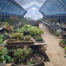 고령농장(2) 이미지