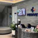 반려묘 일기 : 자카르타 동물병원 추천, 메디벳(Medivet) 고양이 곰팡이성 피부병 진료 후기