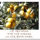 반디농장 이미지