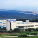시그네틱스(주)