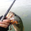 아산호로 이미지