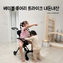 유모차 거부 드디어 해결, 최종 정착한 트라이크는?
