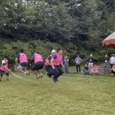 한마음덴탈 이미지