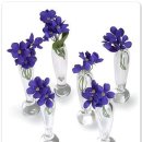 아름다운삶 이미지