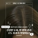 정화준 토탈케어센터 | 하단두피관리는 탈모는 정화준 토탈케어센터에서!