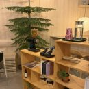 원도안로-17 이미지