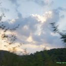 장전천1 이미지