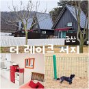 더 레이크 서지 이미지