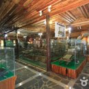 뽕나무골 이미지