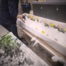 국제장례식장 이미지